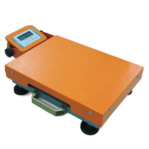 Portable scale 60kg/20g, rugged, handle, rechargeable battery.