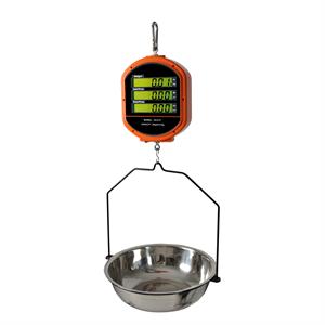 Hanging scale 6kg/2g, rechargeable battery, double display.