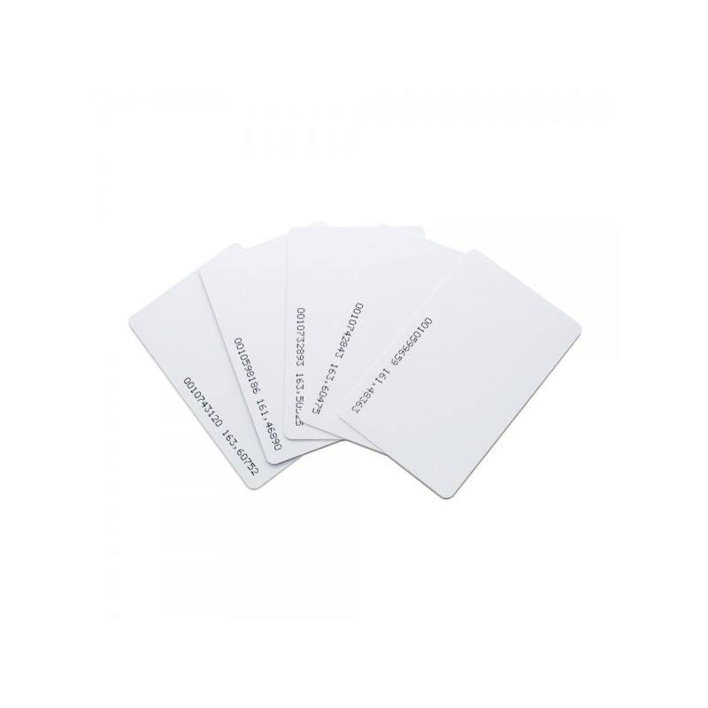 Set of 10 RFID Cards for use with swipe reader